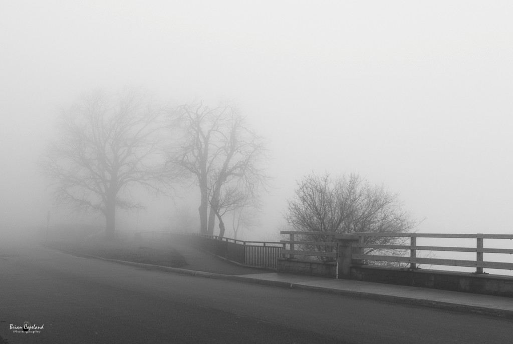 A-very-foggy-Hamilton.jpg