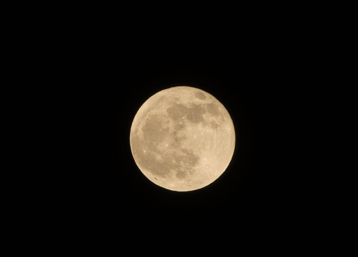 moon-shade-5.jpg