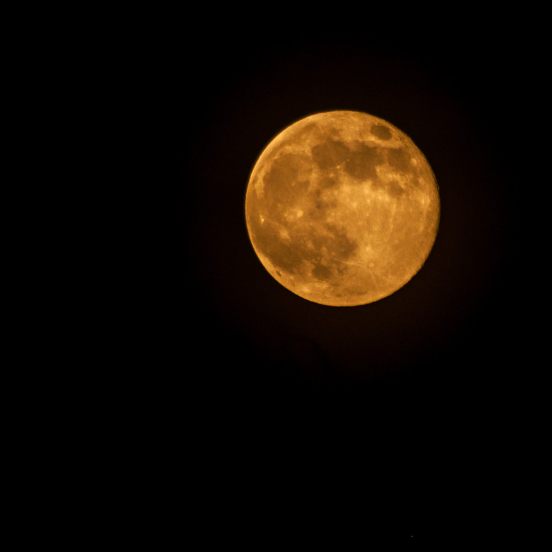 wattage_supermoon_03.jpg
