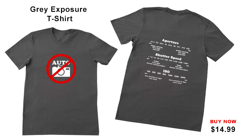 Grey Exposure T-shirt